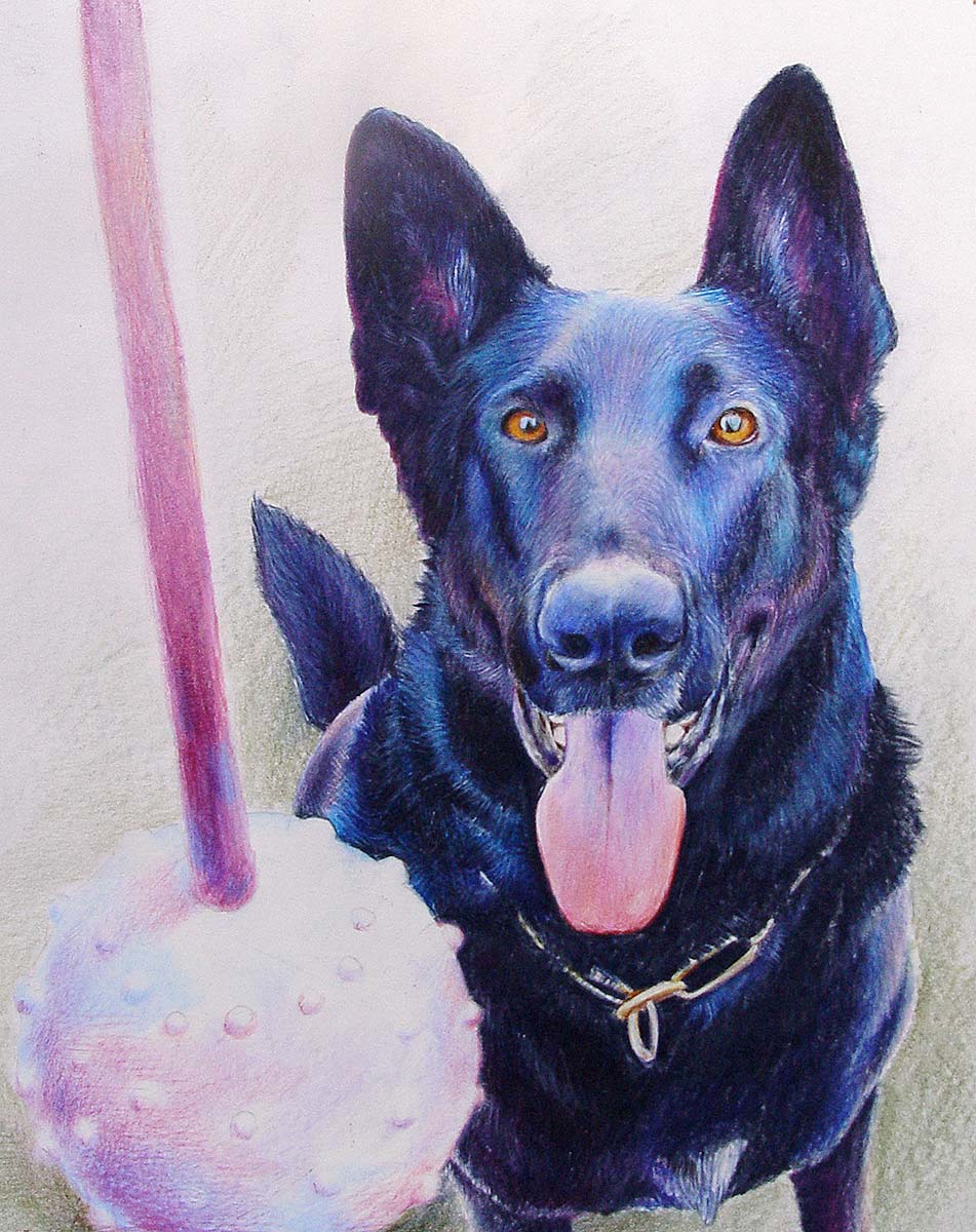Hund-Porträt - handgezeichnete Zeichnung eines Hundes
