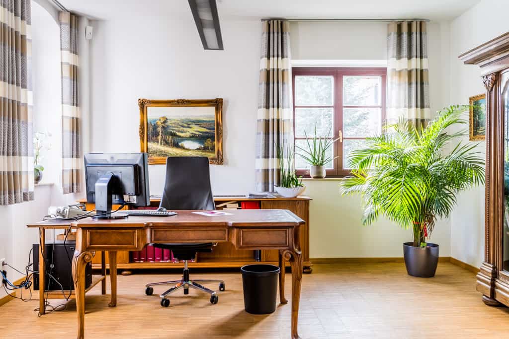 Büro- oder Besprechungsraum mit Schreibtisch, Fenster, Pflanzen und Wandbild