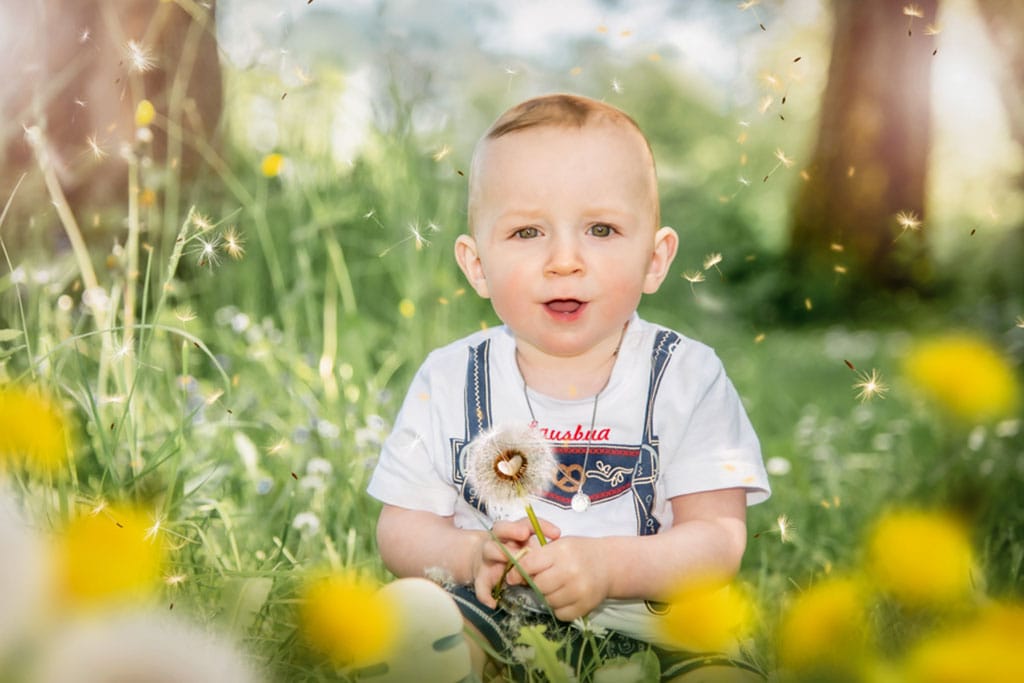 Das Kinderfoto zeigt ein Baby in sommerlicher Kleidung auf einer Wiese sitzend, mit einer Pusteblume in der Hand.